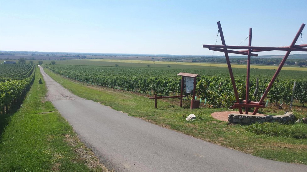 Vinařské sklepy a stezky Velkých Pavlovic