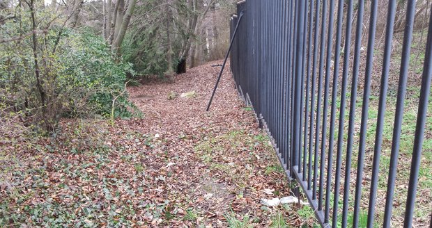 Studentku Katku (†24) zavraždil její bývalý přítel (23) v arboretu brněnské Mendelovy univerzity. Na snímku malý pomníček u vchodu do arboreta.