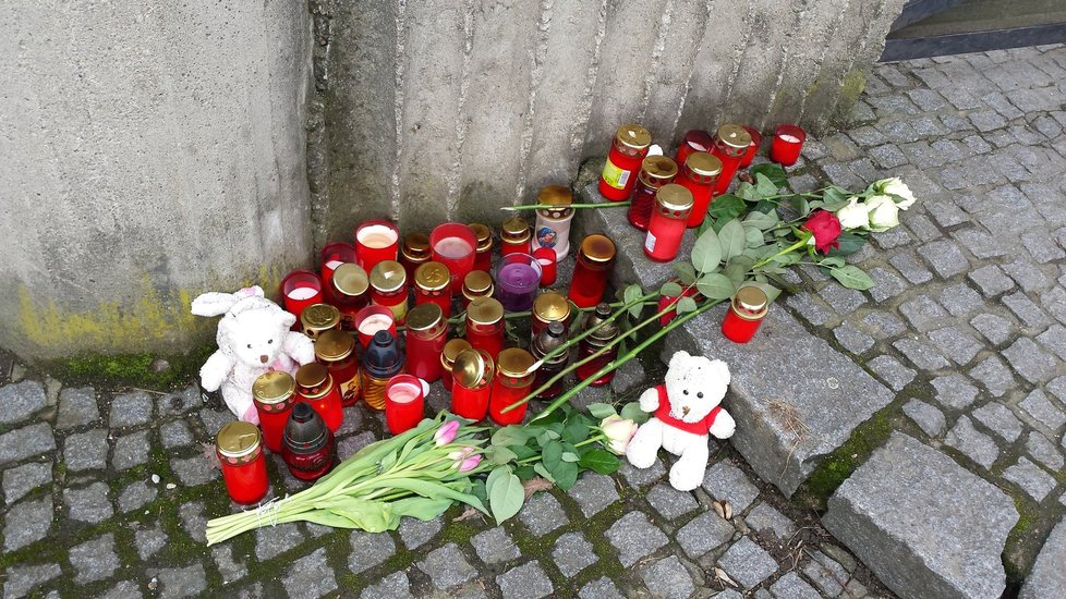 Studentku Katku (†24) zavraždil její bývalý přítel (23) v arboretu brněnské Mendelovy univerzity.Na snímku malý pomníček u vchodu do arboreta.