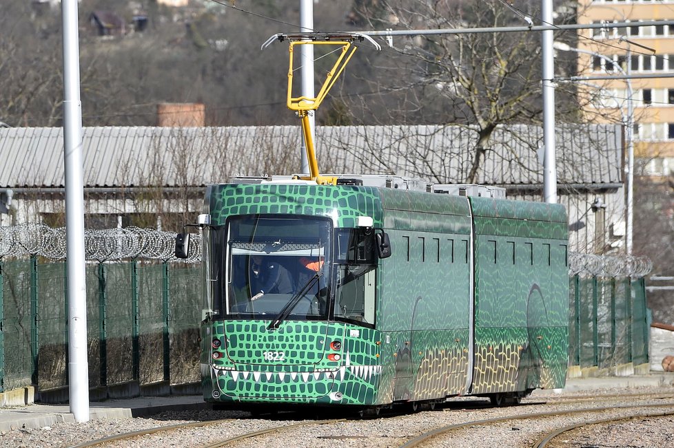Do ulic Brna vyjela tramvaj se jménem Zelený Drak. 