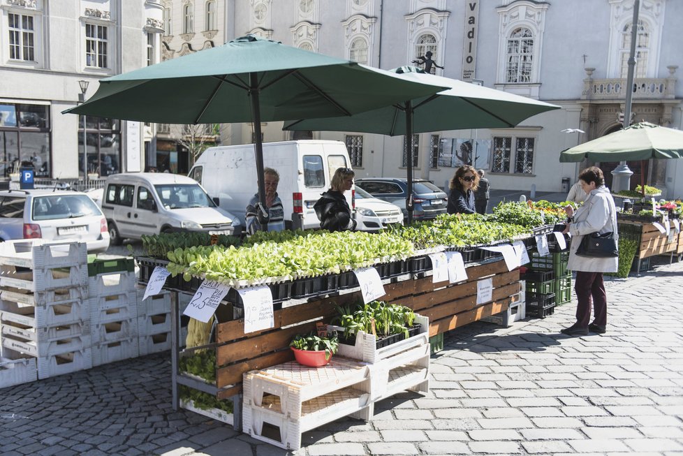 Na brněnském Zelném trhu bude letos prodávat 32 zelinářů a zemědělců, 19 obchodníků  a zhruba osm desítek dalších prodejců.