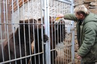 Medvědi z brněnské zoo svačí sladký med