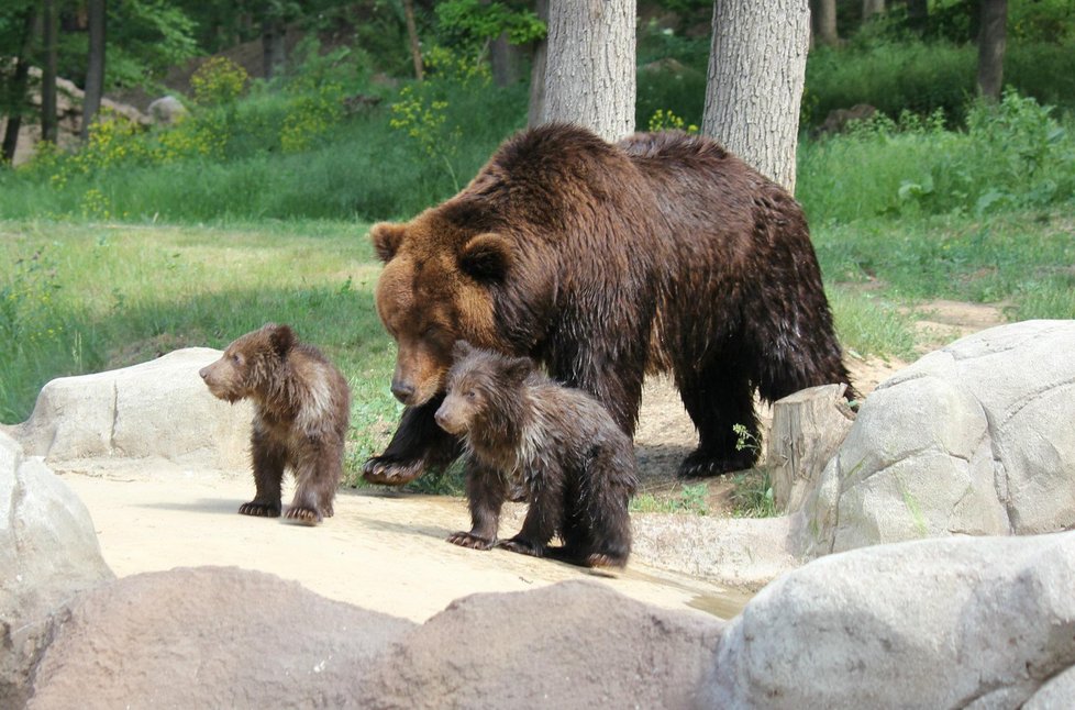 Brněnská zoo si připsala druhou nejúspěšnější sezónu. Jejími branami prošlo přes 300 tisíc lidí.