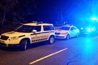 Vražda v brněnském parku: Obětí byla 24letá studentka! Zakrvácený vrah stále uniká