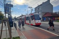 Brno slibuje: 4000 na dítě, MHD bez zdražení i byty pro mladé rodiny a seniory
