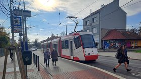 Brno nebude zdražovat MHD.