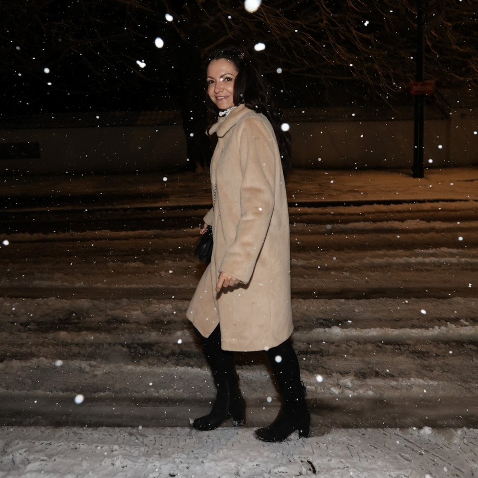 Vánoční večírek divadla Broadway U slepiček: Alice Jandová musela pod sněhem najít auto