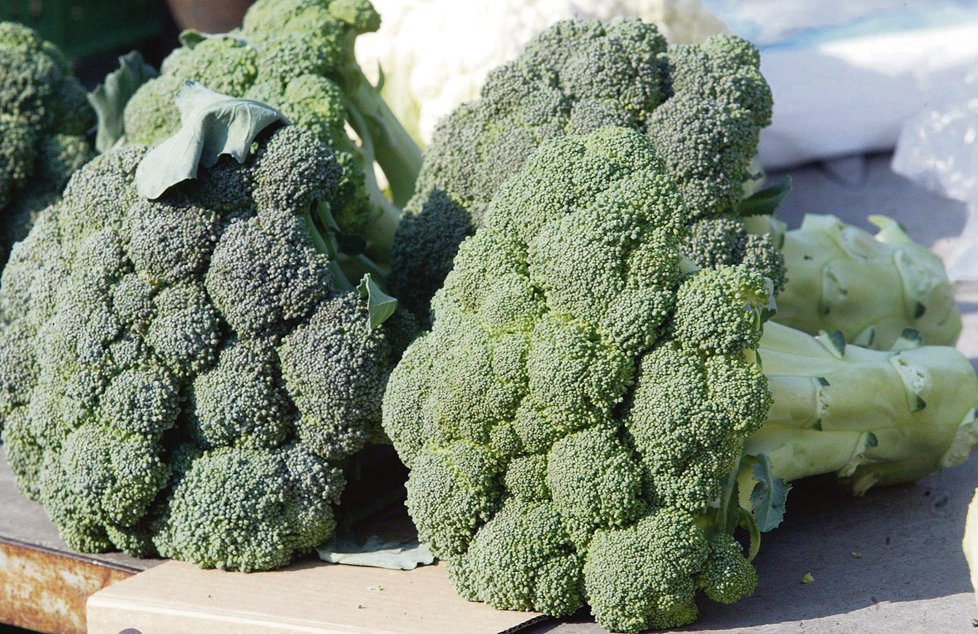 Pravidelná konzumace brokolice chrání žaludek před vředy i rakovinou.