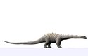 Takto je to asi správněji než na předešlém obrázku. Apatosaurus si vykračuje s dopředu nataženým krkem.