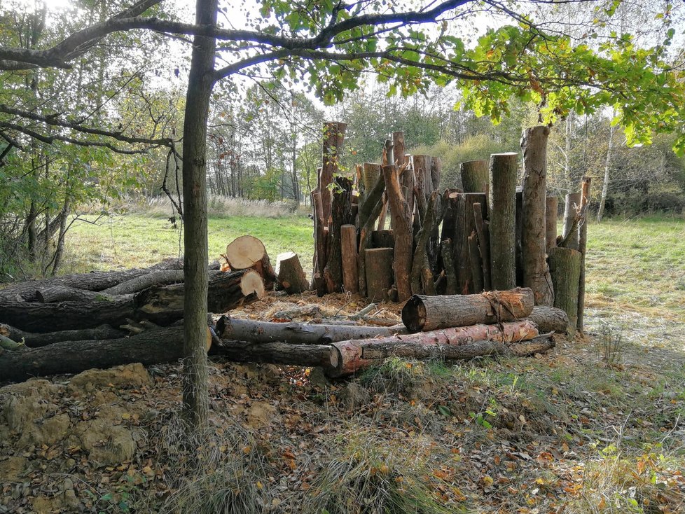 Ochránci přírody s dobrovolníky postavili v Bartošovicích „bytový komplex“ broukům.