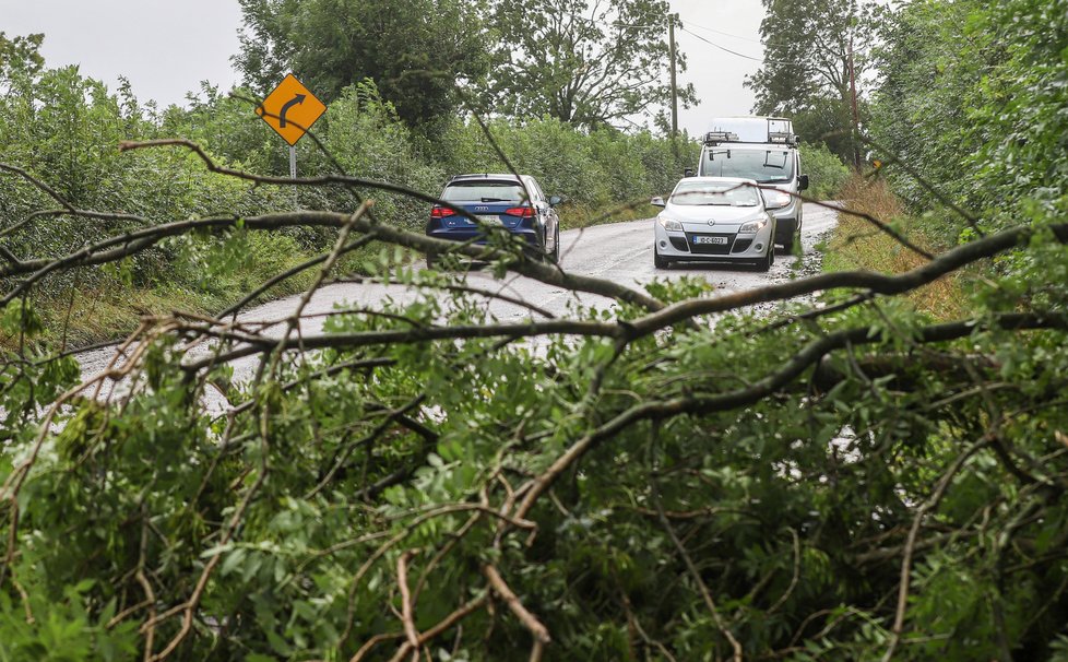 Severovýchod Česka postihne silný vítr, na horách dosáhne rychlosti i 110 km/h.