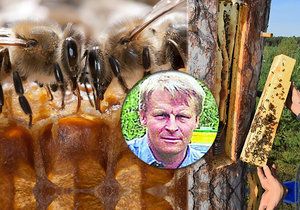 Včelař Milan Motyka z Mostů u Jablunkova dlabe pro svá včelstva brtě do dutin stromů.