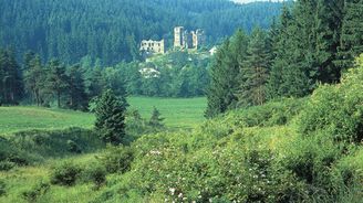 Přírodní rezervace Údolí Brtnice: Načerpejte energii v nejmladším chráněném území na Jihlavsku