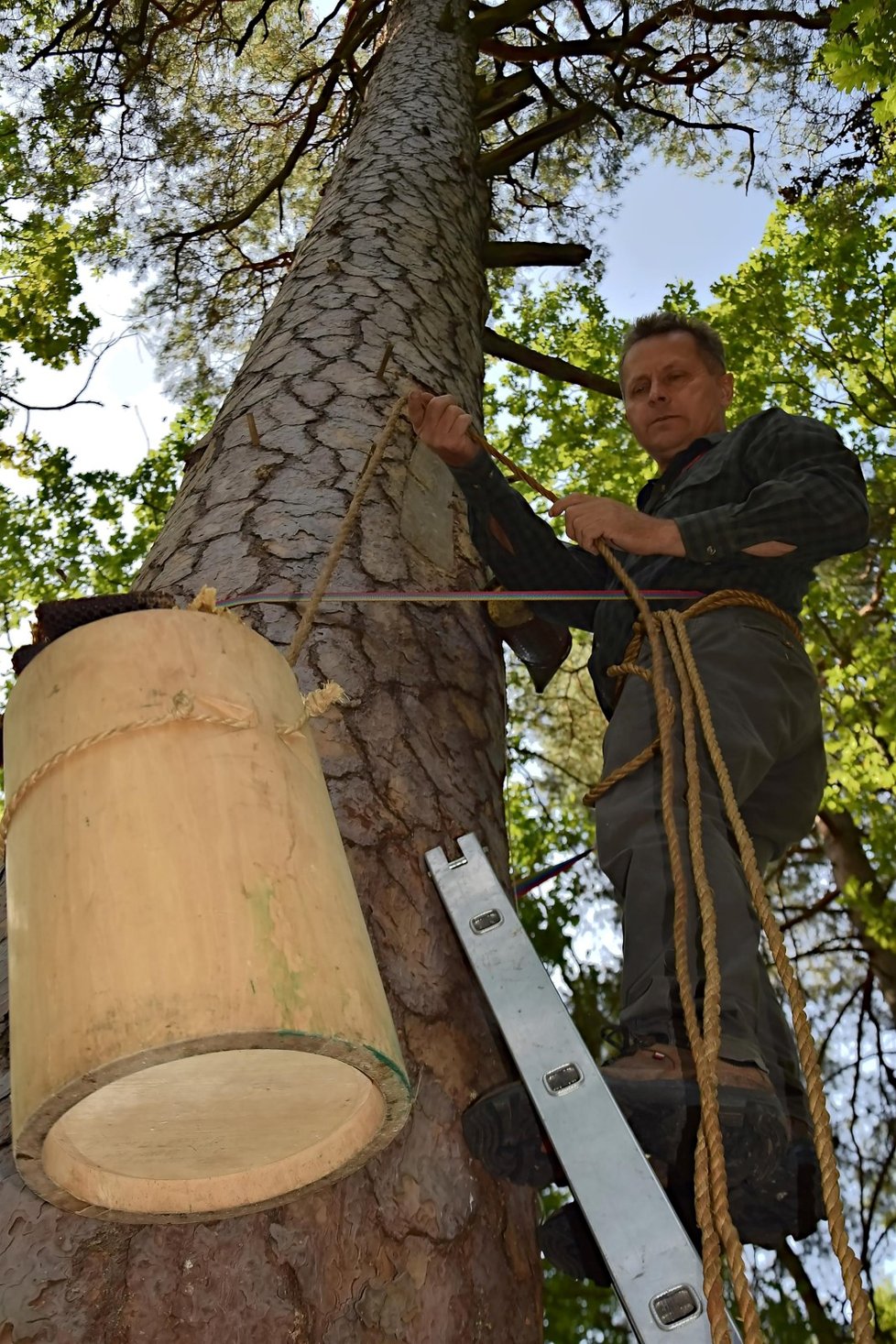 Stavět brtě na stromech učil Motyku polský včelař Andrzej Pazura.