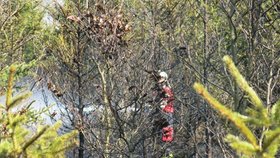 V sobotu před polednem u Bruntálu hořely asi tři hektary nízkého lesa a trávy.