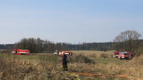 V sobotu před polednem u Bruntálu hořely asi tři hektary nízkého lesa a trávy.