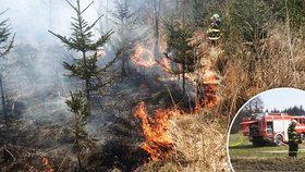 Šest jednotek hasičů zasahovalo při rozsáhlém lesním požáru v Bruntále.