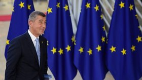 Premiér Andrej Babiš (ANO) na summitu EU v Bruselu (28. 6. 2018)