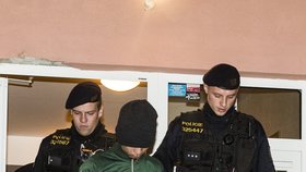 Střízlíka v papučích odvedli policisté do cely.