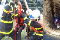 Hororový objev ve studni: Sousedé omdlévali, když uvnitř našli ubodanou sousedku i s dětmi