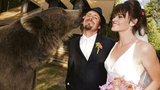 Svatba v americké divočině: Za svědka šel grizzly Brutus