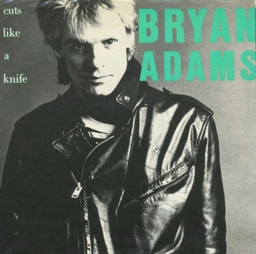 Kanadský zpěvák Bryan Adams