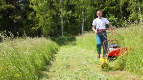 Bubnová sekačka zvládne i metr a půl vysoký porost a trávu uloží do úhledných řádků.