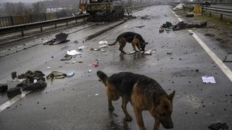 Další balík sankcí schválí EU nejspíš ve středu. Jde o reakci na zabíjení civilistů na Ukrajině