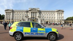 Britská policie v neděli na několik hodin zadržela muže, kterého podezřívala z toho, že se snaží dostat do Buckinghamského paláce s elektrickým paralyzérem. Později se ukázalo, že šlo spíše o nedorozumění (archivní foto).