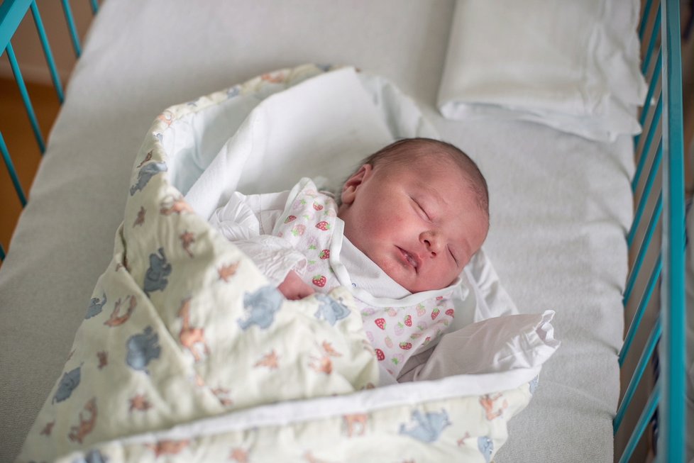 Ministr zdravotnictví Adam Vojtěch navštívil v porodnici první budějovické novorozeně. Shodou náhod je jmenuje stejně, jako jeho kolegyně z vlády - Šlechtová.