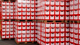 Jak to vypadá uvnitř Budějovického Budvaru.