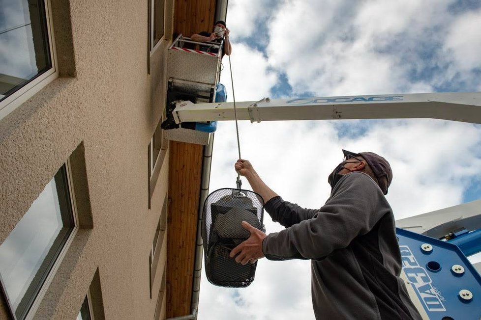 Na fasádu školy ve Štěnovicích na Plzeňsku ochránci nainstalovali 20 budek pro rorýse a stejný počet náhradních hnízd pro jiřičky.