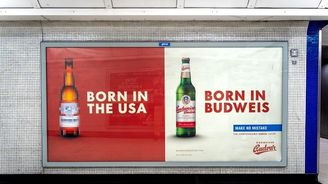 Proč má stát vlastnit Budvar nebo Thermal? Erár by měl přehodnotit, kde všude podnikat Proč má stát vlastnit Budvar nebo Thermal? Erár by měl přehodnotit, kde všude podnikat