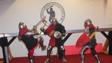 Navštívili jsme buhurtový trénink: Středověký boj přežívá dodnes 