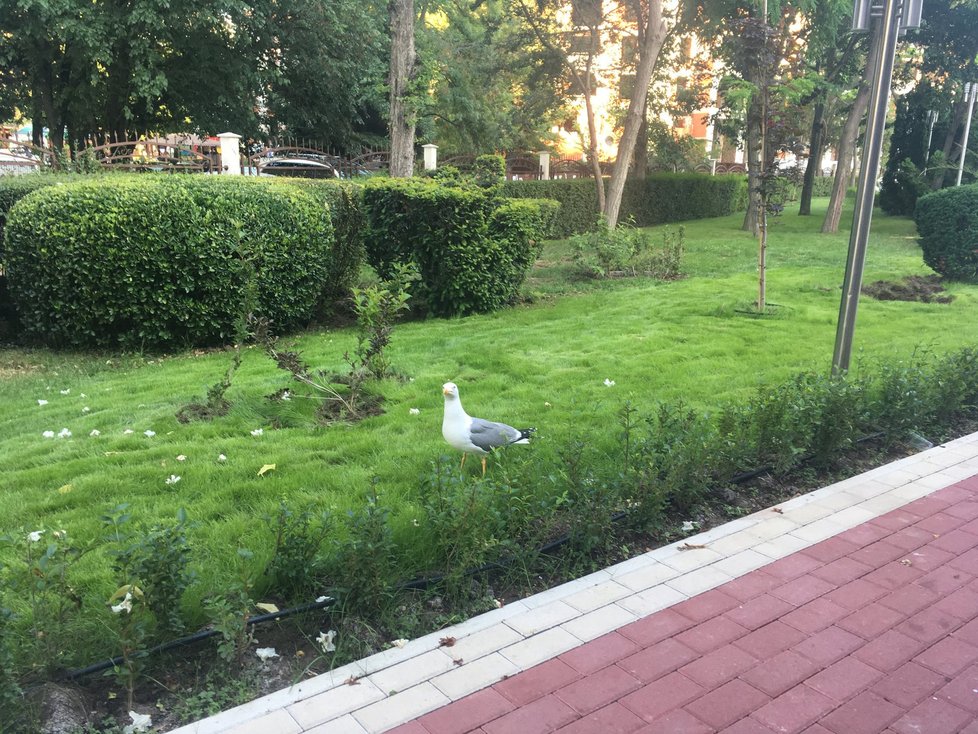 Bulharsko láká turisty na netradiční prostředí, nízké ceny a také krásné písčité pláže.