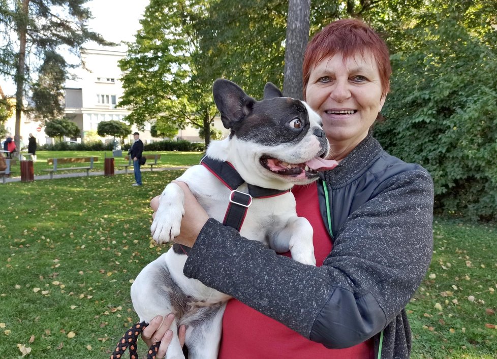 Chovatelé buldočků jezdí na &#34;návštěvu&#34; za Janou Foltovou do Jablunkova už několik let. Pořádá tu jejich sraz.