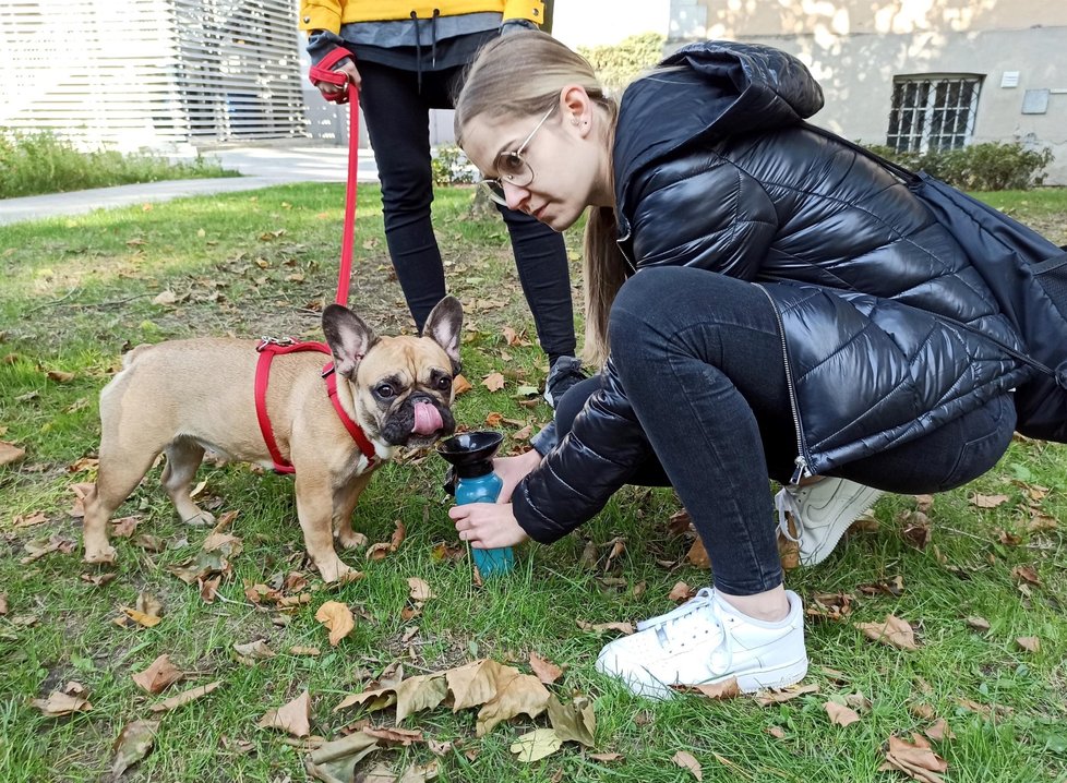 Chovatelé buldočků jezdí na &#34;návštěvu&#34; za Janou Foltovou do Jablunkova už několik let. Pořádá tu jejich sraz.