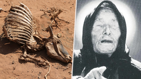 Baba Vanga předpověděla sucho a nedostatek vody.