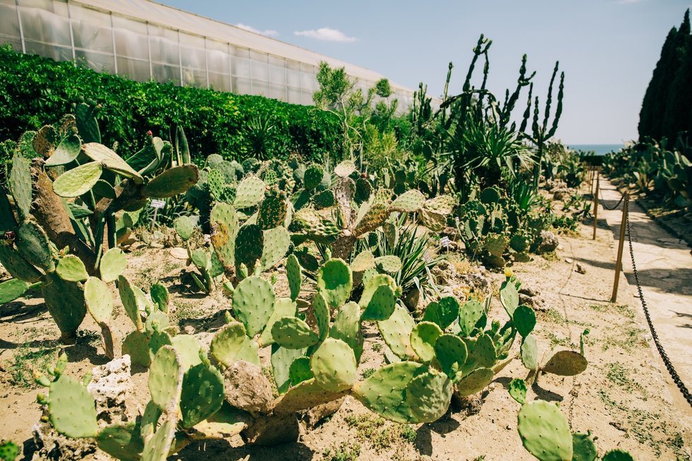 Park a zahradu královny Marie s třemi tisíci rostlin z celého světa vytvořili tehdejší italští a švýcarští zahradníci a architekti, dominantní je dnes unikátní kaktusová zahrada.
