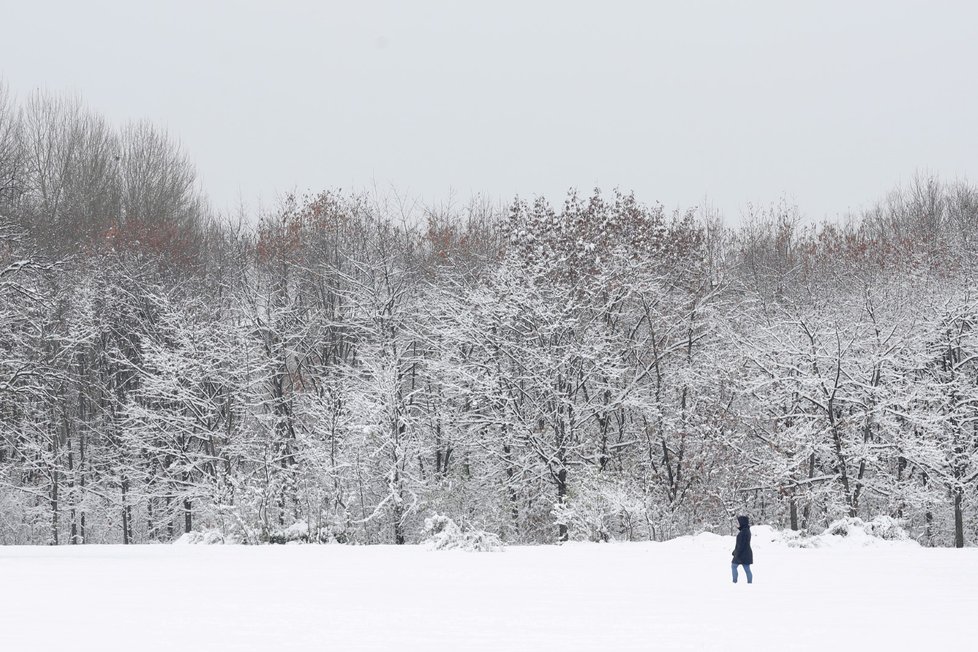 Počasí v Bulharsku láká lyžaře (27.1.2021).