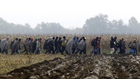 Bulharsko čelí kritice kvůli údajnému brutálnímu zacházení s uprchlíky.
