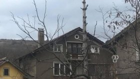 Bulharská policie našla v domě pět zastřelených lidí a vlčáka. Jednoho člena rodiny navíc pohřešuje.