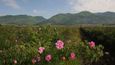 Údolí růží je srdcem Bulharska