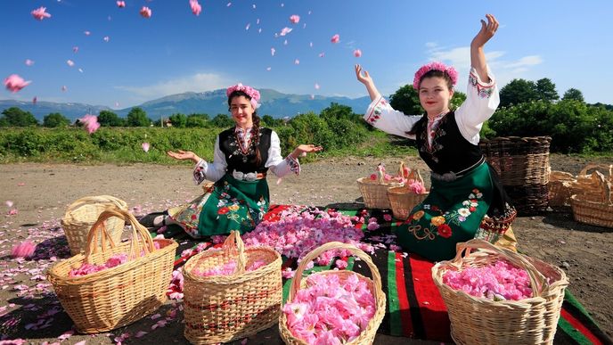 Mladé dívky jsou nezbytnou součástí festivalu růží. Mladé dívky jsou nezbytnou součástí festivalu růží.