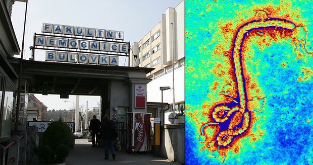 EBOLA opět v Česku: Ženu na hotelu v Karlových Varech převážejí v horečkách do Prahy