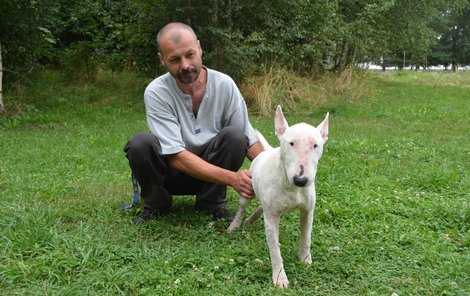 O nemocnou Miu se v útulku odchytové služby Animal rescue stará Vladimír Kössl.