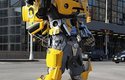 Bumblebee zdraví z Brooklynu!