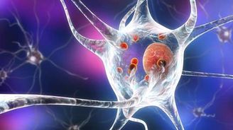 Vědci tvrdí, že Parkinsonovu chorobu bychom možná mohli léčit vlastními buňkami