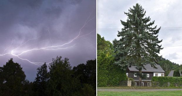 Svědectví z tragické bouřky na Děčínsku: Blesk sjel po stromě! Maminku oživovali 20 minut