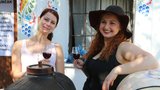 Mezi vinice vyrazily tisíce turistů! Burčák tekl na Moravě proudem 